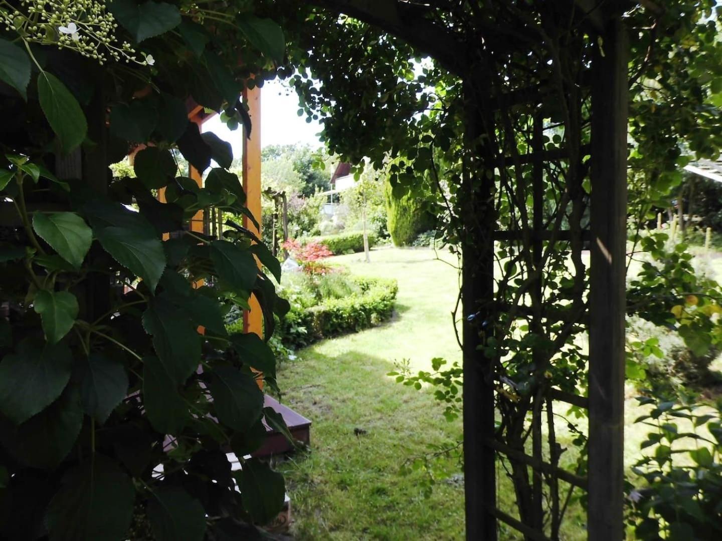 Farbenfrohe Ferienwohnung 代特莫尔德 外观 照片